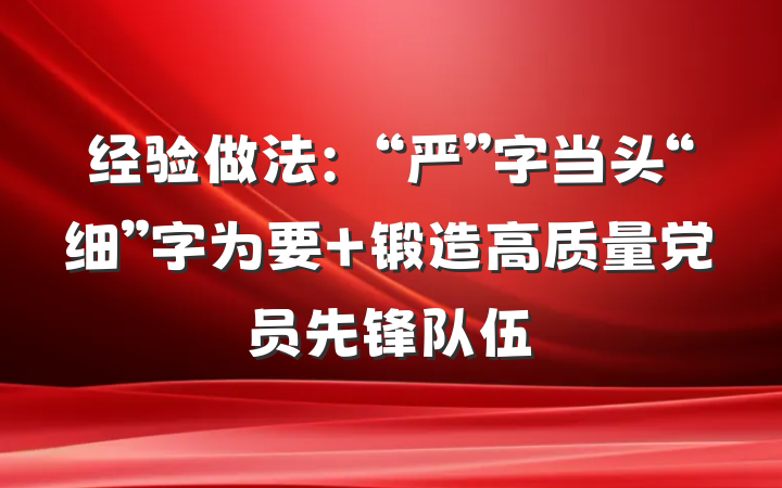 经验做法：“严”字当头“细”字为要 锻造高质量党员先锋队伍