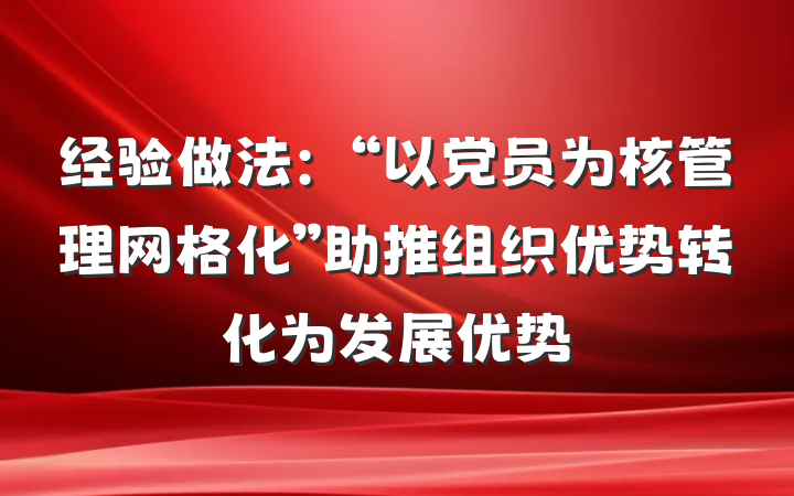 经验做法：“以党员为核管理网格化”助推组织优势转化为发展优势
