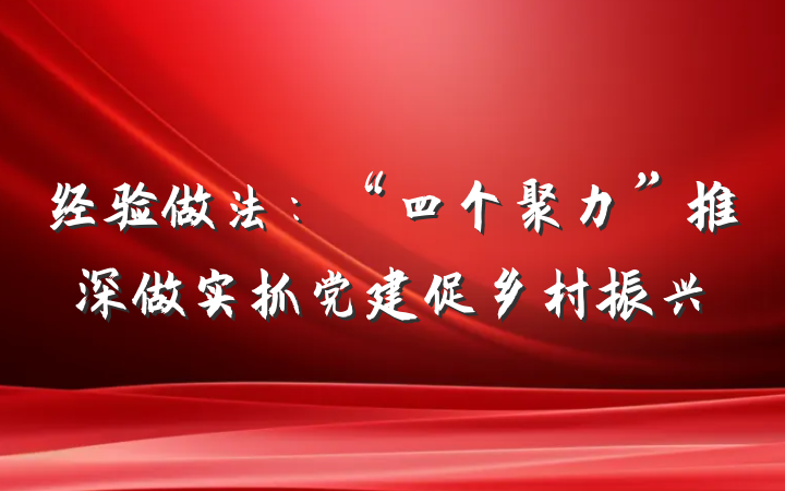 经验做法：“四个聚力”推深做实抓党建促乡村振兴