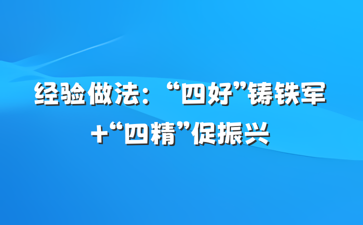 经验做法：“四好”铸铁军 “四精”促振兴