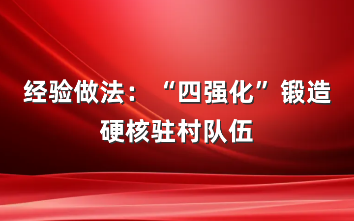 经验做法：“四强化”锻造硬核驻村队伍