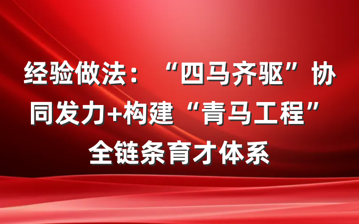 经验做法：“四马齐驱”协同发力 构建“青马工程”全链条育才体系
