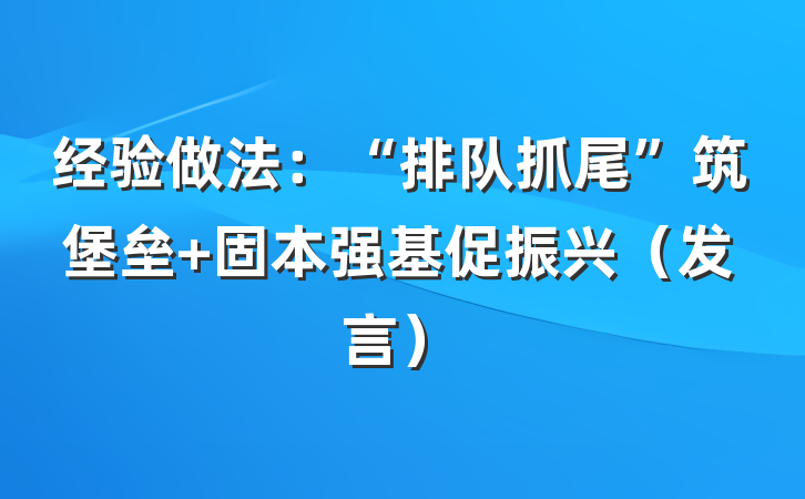经验做法：“排队抓尾”筑堡垒 固本强基促振兴（发言）