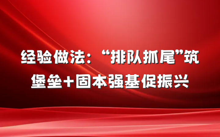 经验做法：“排队抓尾”筑堡垒 固本强基促振兴