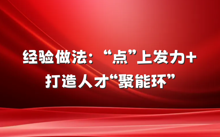 经验做法：“点”上发力 打造人才“聚能环”