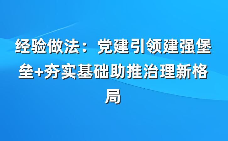 经验做法：党建引领建强堡垒 夯实基础助推治理新格局