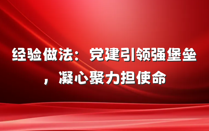 经验做法：党建引领强堡垒，凝心聚力担使命