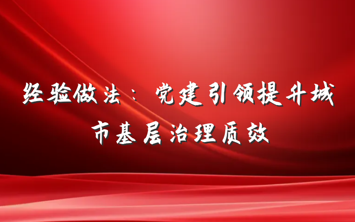 经验做法：党建引领提升城市基层治理质效