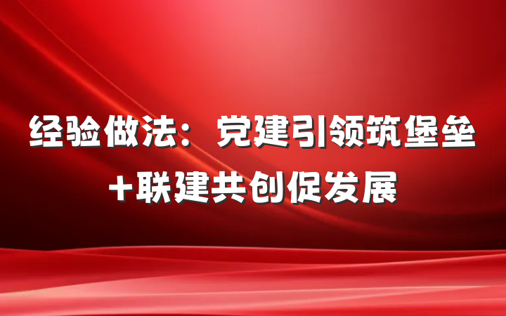 经验做法：党建引领筑堡垒 联建共创促发展