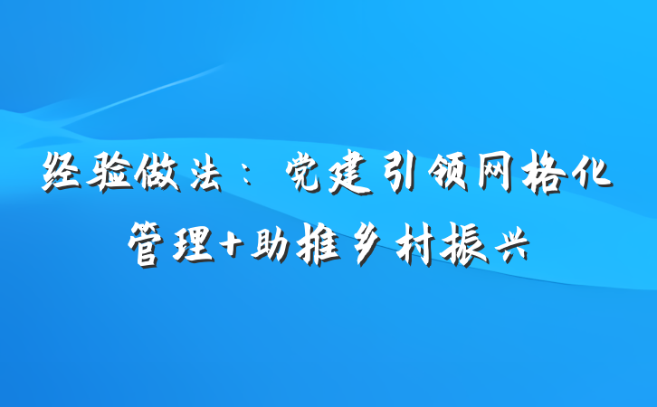 经验做法：党建引领网格化管理 助推乡村振兴