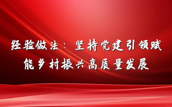 经验做法：坚持党建引领赋能乡村振兴高质量发展
