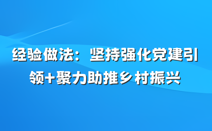 经验做法：坚持强化党建引领 聚力助推乡村振兴