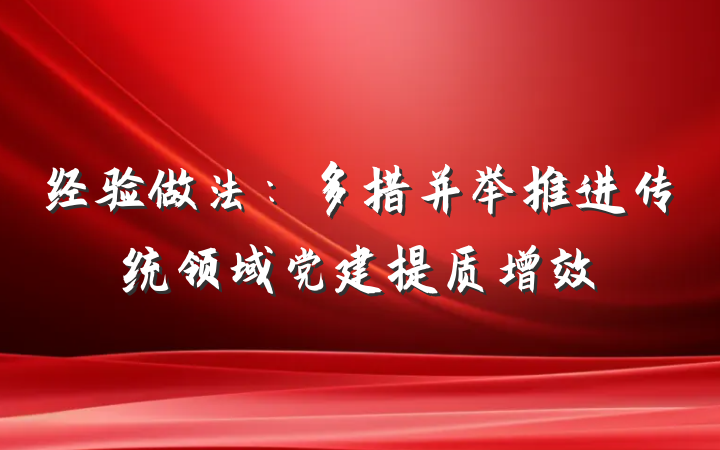 经验做法：多措并举推进传统领域党建提质增效