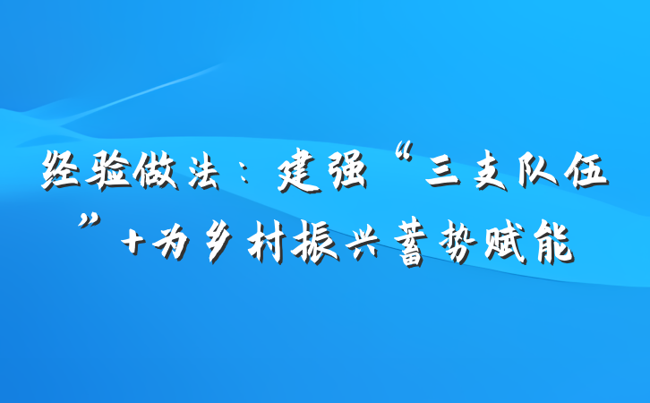 经验做法：建强“三支队伍” 为乡村振兴蓄势赋能