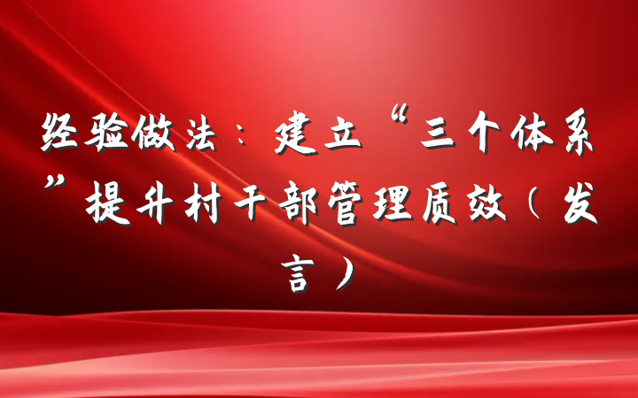 经验做法：建立“三个体系”提升村干部管理质效（发言）