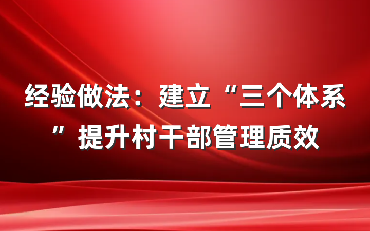 经验做法：建立“三个体系”提升村干部管理质效