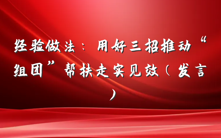经验做法：用好三招推动“组团”帮扶走实见效（发言）