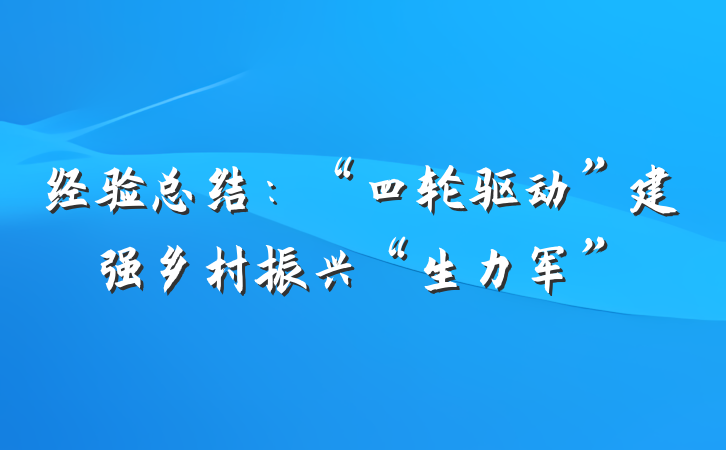 经验总结：“四轮驱动”建强乡村振兴“生力军”