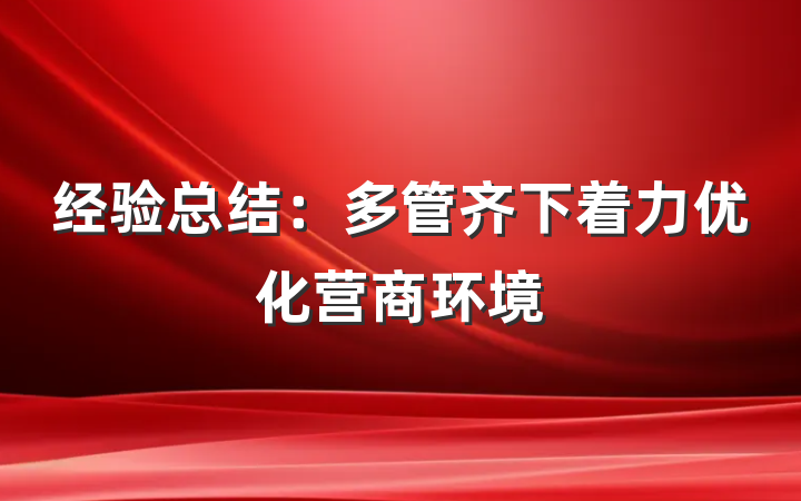 经验总结：多管齐下着力优化营商环境