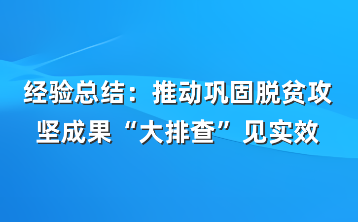 经验总结：推动巩固脱贫攻坚成果“大排查”见实效