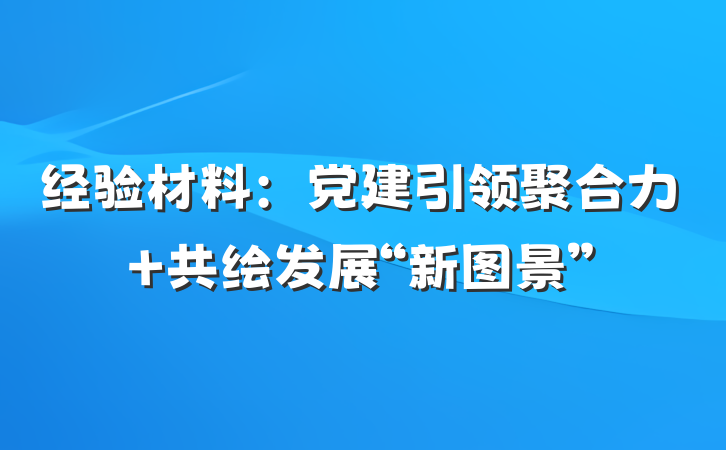 经验材料：党建引领聚合力 共绘发展“新图景”