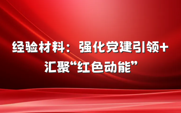 经验材料：强化党建引领 汇聚“红色动能”