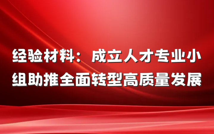 经验材料：成立人才专业小组助推全面转型高质量发展