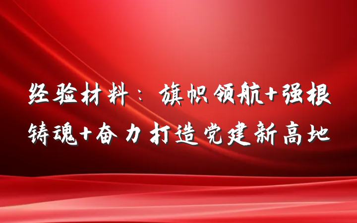 经验材料：旗帜领航 强根铸魂 奋力打造党建新高地