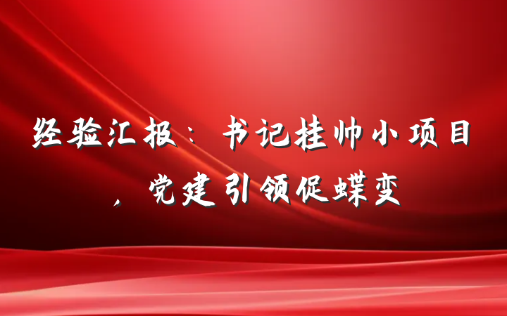 经验汇报：书记挂帅小项目，党建引领促蝶变