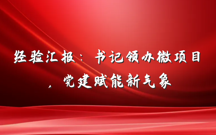 经验汇报：书记领办微项目，党建赋能新气象