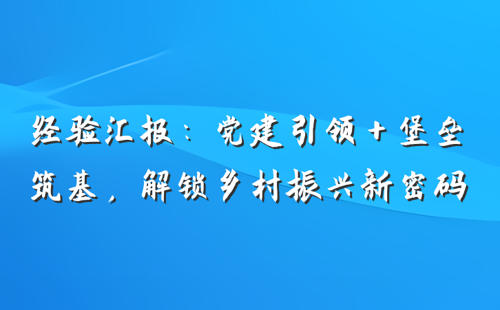 经验汇报：党建引领＋堡垒筑基，解锁乡村振兴新密码