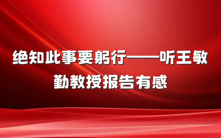 绝知此事要躬行——听王敏勤教授报告有感