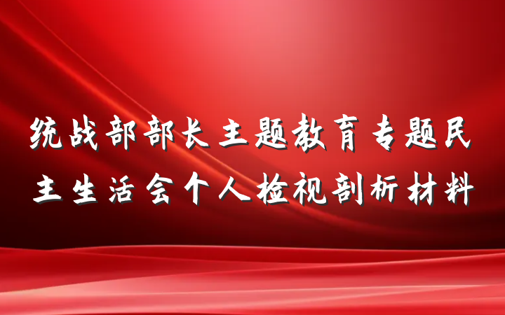统战部部长主题教育专题民主生活会个人检视剖析材料