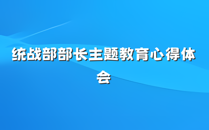 统战部部长主题教育心得体会