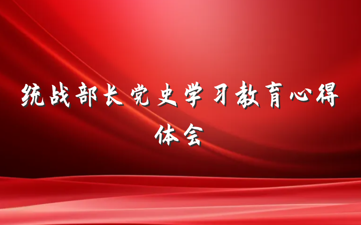 统战部长党史学习教育心得体会