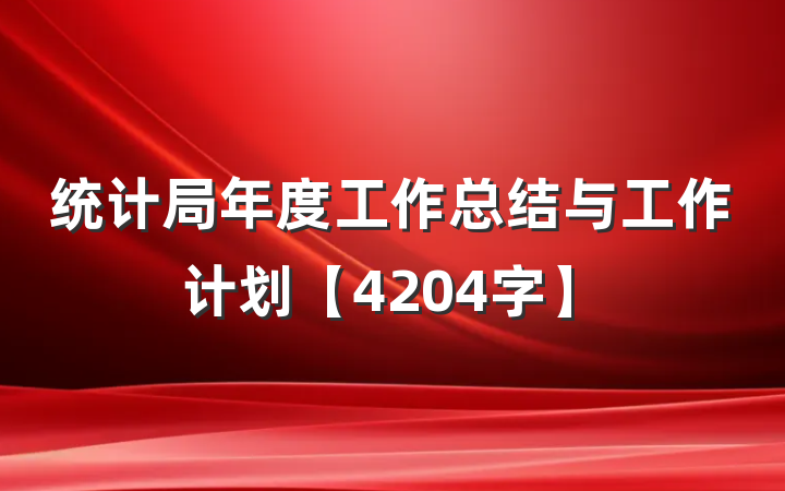 统计局年度工作总结与工作计划【4204字】