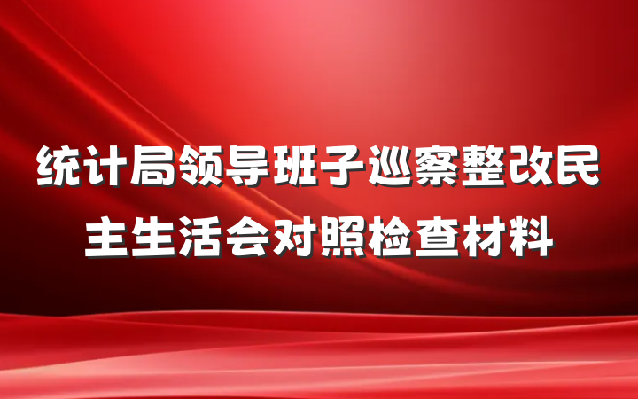 统计局领导班子巡察整改民主生活会对照检查材料