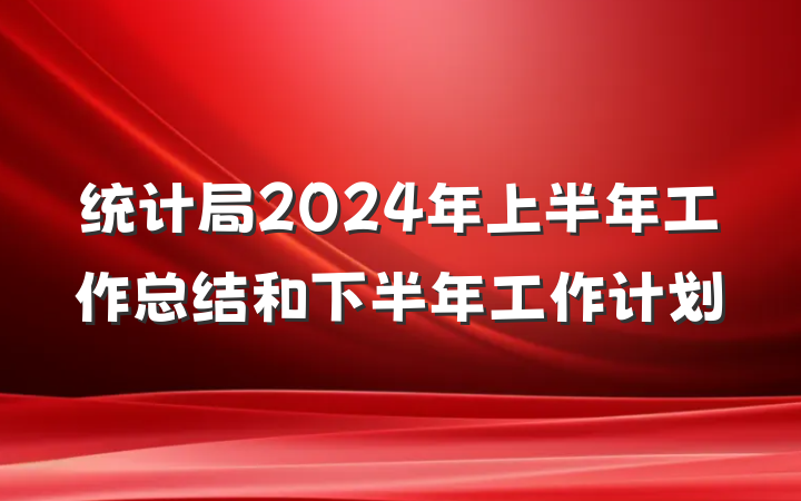 统计局2024年上半年工作总结和下半年工作计划