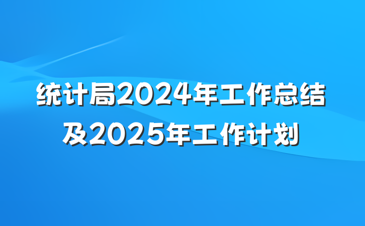 统计局2024年工作总结及2025年工作计划