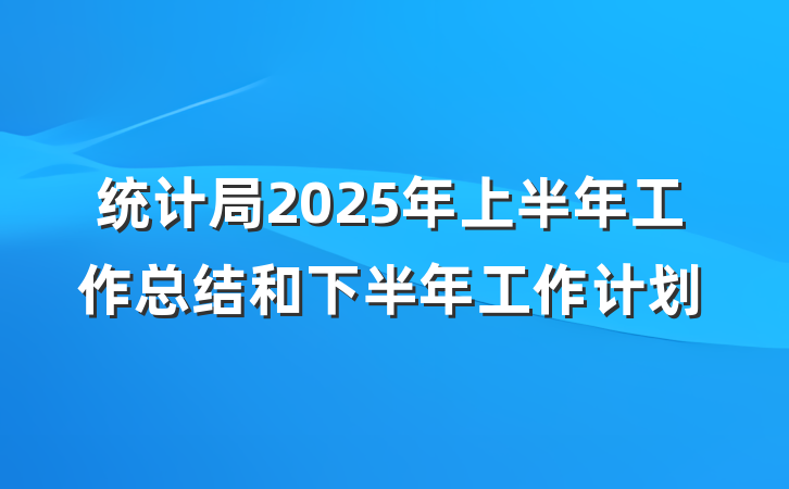 统计局2025年上半年工作总结和下半年工作计划