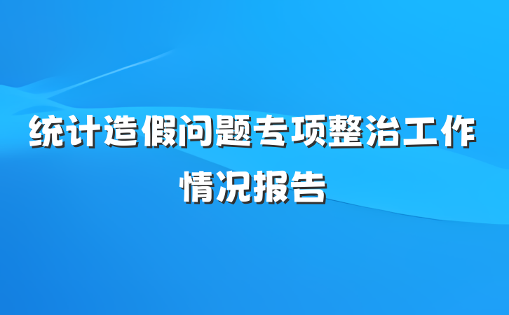 统计造假问题专项整治工作情况报告