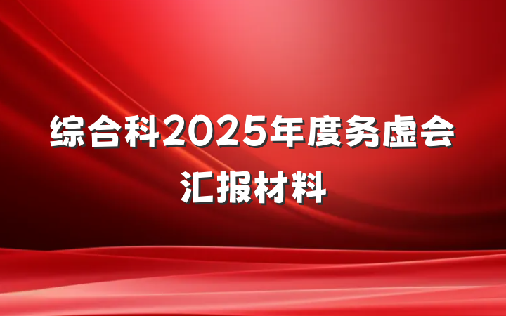 综合科2025年度务虚会汇报材料