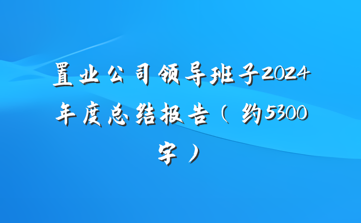 置业公司领导班子2024年度总结报告（约5300字）