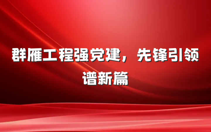 群雁工程强党建，先锋引领谱新篇