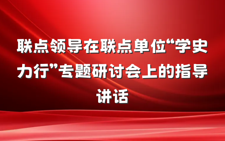 联点领导在联点单位“学史力行”专题研讨会上的指导讲话