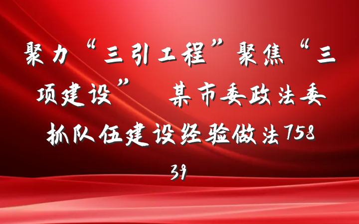 聚力“三引工程”聚焦“三项建设”――某市委政法委抓队伍建设经验做法75839