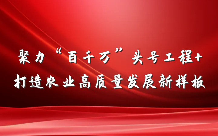 聚力“百千万”头号工程 打造农业高质量发展新样板