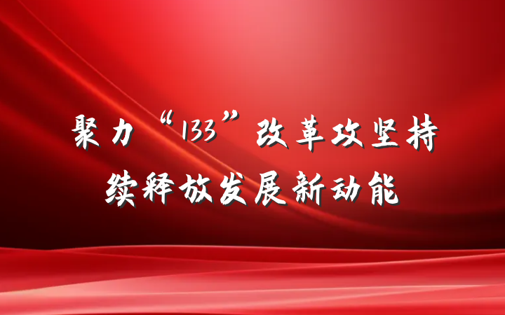 聚力“133”改革攻坚持续释放发展新动能
