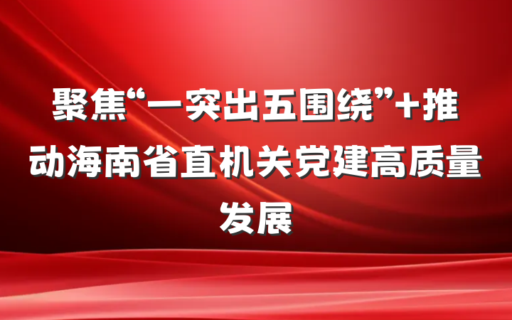 聚焦“一突出五围绕” 推动海南省直机关党建高质量发展