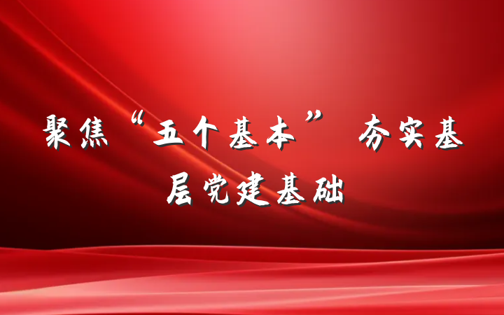 聚焦“五个基本”　夯实基层党建基础